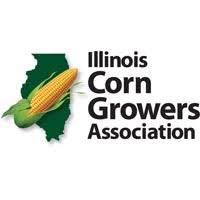 ILcorn logo